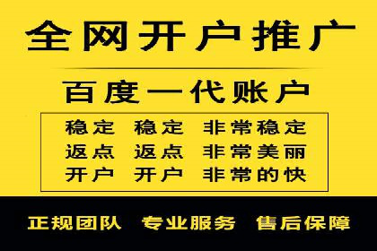 SEM运营中的数据分析和优化案例研究